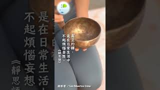 真正的禪，是在日常生活中不起煩惱妄想。 （恭錄自 證嚴上人《靜思語》）