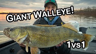 Fishing GIANT fall WALLEYE! (1vs1- Challenge)