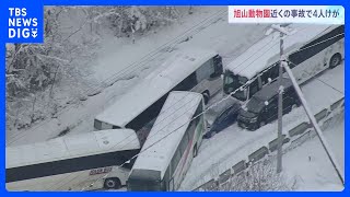 旭川・旭山動物園近く　バスや乗用車など約10台がからむ多重事故　4人が病院に搬送　当時は雪で滑りやすい状態｜TBS NEWS DIG