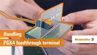 Handling | PGK 4 feedthrough terminal with Push In