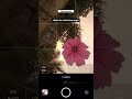 Creative Photography Tips and Trick with Phone using pro Mode  | Mobile Photography Hacks #shorts