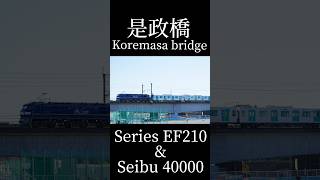 #甲種輸送 #西武 #EF210 #40000 #是政橋 #南武線 #多摩川 #所沢 #撮り鉄 #電車 #鉄道 #train