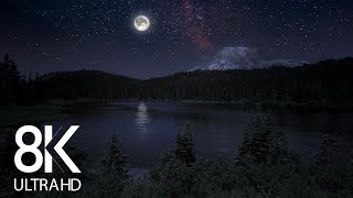 10 HRS of Nighttime Nature Soundscapes (Lake Waves, Cicadas, Crickets) - 8K Enchanting Night