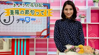 重陽の節句って？「きょうの花日記」2021年9月8日放送