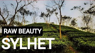 Natural Beauty Of Sylhet!! Beautiful Bangladesh Travel Film!! Eye Catching Family!!