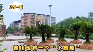 四川“小鹤岗”，楼房2万一套，水电气三通，还不到300元一平！