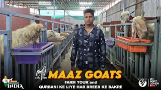 Maaz Goats Farm TOUR & Goats For Sale I YK Goat Lover