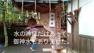 丹生川上神社下社⛩️一度は、足を運んでほしい神社です。