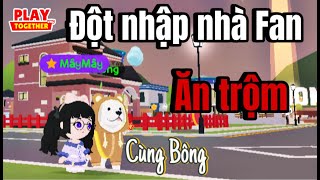 Play together | Mây cùng Bông đột nhập nhà fan và cái kết