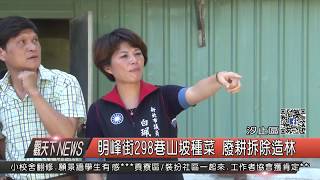 1060906觀天下新聞HD04 汐止區明峰街298巷山坡種菜 廢耕拆除造林