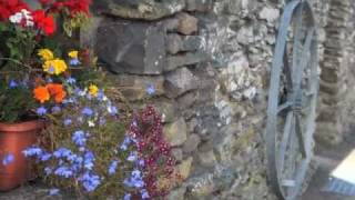 Road Scholar: The Best of Ireland #18731