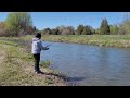 trout fishing port hope river.