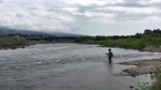 ブログ用動画　強風の中 長野の川で