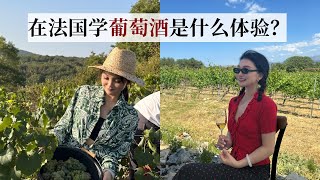 在法国学葡萄酒专业是什么样的体验？