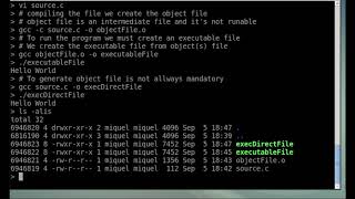 Source, object and executable code file