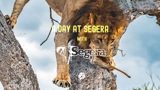 A Day at Segera Retreat