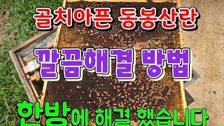 가장 골치아픈 동봉산란 깔끔처리 후기  A/S 영상입니다