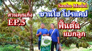 #กวินบินได้ EP.35 #SanhoModel ฟื้นต้นป่วย ให้แบกลูกได้ ด้วย #ซานโฮโปรแคป สวนคุณกิ่ง EP.5