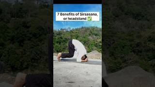 7 Benefits of Sirsasana or Headstand ✅👆🏻#yoga #headstand #sirsasana #physicalhealth #trendingreels