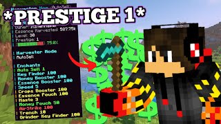 We are DUPING money with this prestiged hoe! - ExodusMC Skyblock