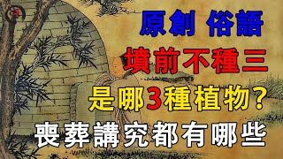 原創 俗語“墳前不種三”，是哪3種植物？喪葬講究都有哪些 ｜ 一悟即通