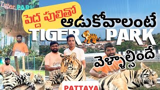 పెద్ద పులి తో అడుకోవాలంటే TIGER PARK వెళ్ళాల్సిందే. #tigerpark #thailand #pattaya #tiger #telugu