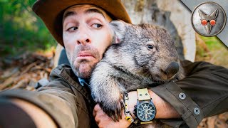 Baby Wombat Set Loose! - in VR180!