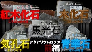 【石】なに!?アクアリウム専用の石があるだと？知らなかった・・・前編【ふぶきテトラ】