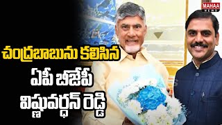 చంద్రబాబును కలిసిన ఏపీ బీజేపీ విష్ణువర్ధన్ రెడ్డి | Vishnuvardhan Reddy meet in cm chandrababu