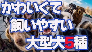 可愛くて飼いやすい大型犬5種