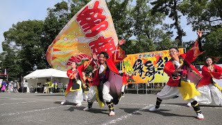 「達磨-DaLuMa-」豊明秋まつり2019 縁舞祭