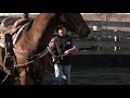 Desensitizing a Horse with a Rope - Jesse Krier - Greatmats Horse Training Series