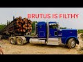 Florida swamp logging with Bruce Wilson's new truck. Diesellife edition!