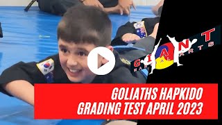 Kids Hapkido Grading