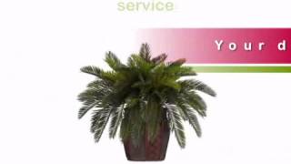 19 inch Double Cycas Palms in Planter - artificialplantsandtrees.com