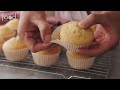 no butter vanilla cupcakes