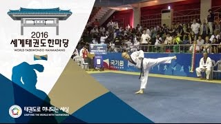 2016세계태권도한마당 -  해외 공인품새 개인 남자 마스터 결선1위