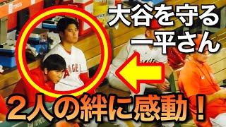 【海外の反応】感動！大谷翔平を守る一平さん。二人の絆に米メディア称賛！「これぞ、バディだ！」【ニッポンの夜明けぜよ】