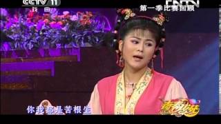 青春戏苑 [青春戏苑]黄梅戏《天仙配》片段 表演：王霞 赵章伟 20130808