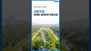 서초구의 양재천 생태하천 복원사업[ESG 교육｜ESG]