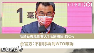 陸禁石斑魚影響大？活魚輸陸佔92% 　台官方：不排除再到WTO申訴