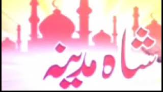 Shah e Madina | Shahida Mini | Naat| KhaliqChishti Presents || HD VIDEO