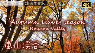 嵐山渓谷　紅葉　シネマティック　Rnazan Valley　Autumn leaves season　cinematic 2022【 4K 】