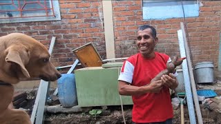 🔵 Día 10 de la construcción de la casa de don Hugo/ Cambiamos al señor Chalchicha por esto🤭