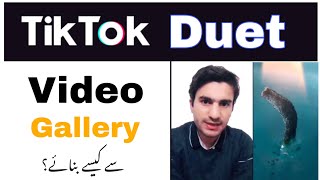 Tiktok Duet Gallery Video Kaise Banaye? How to Duet on Tik tok with a Saved Video?