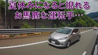 パトカーに追われたお馬鹿な運転手が危険すぎる…