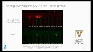 Rapid Discovery of Therapeutic Antibodies for SARS-CoV-2 and Other Viral Pandemics
