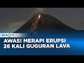 Bahaya! Gunung Merapi Alami 93 Gempa dan 26 Guguran Lava