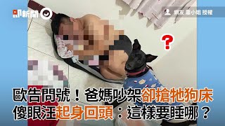 爸媽吵架「狗窩」被搶！歐告一臉問號：我要睡哪？｜寵物動物｜黑狗｜米克斯犬｜看新聞