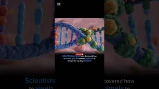 "Breaking Tech: Japanese Scientists Swap Animal Genes to Change Behavior!"